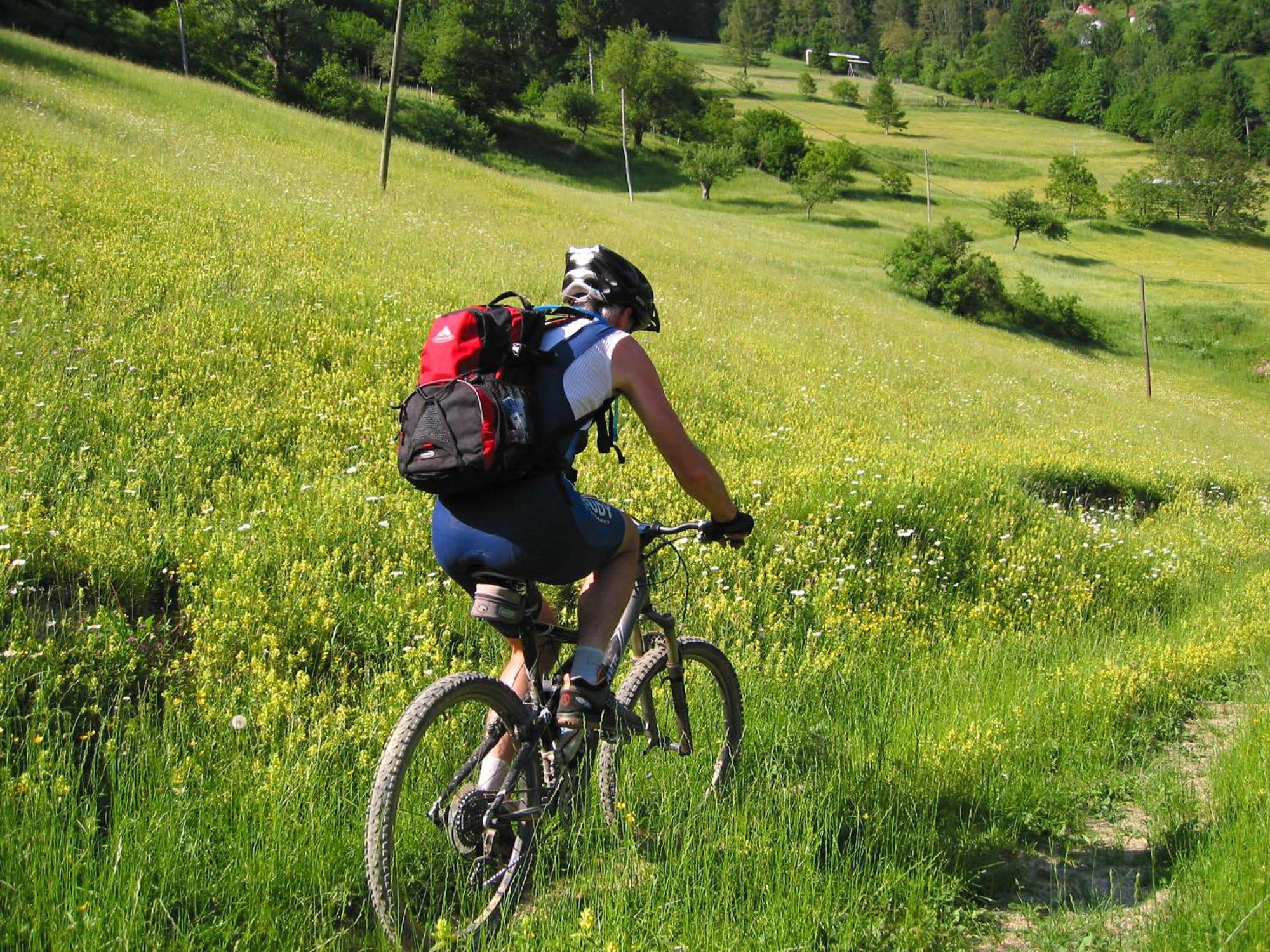 Hotel Center Pokljuka Goreljek Dış mekan fotoğraf